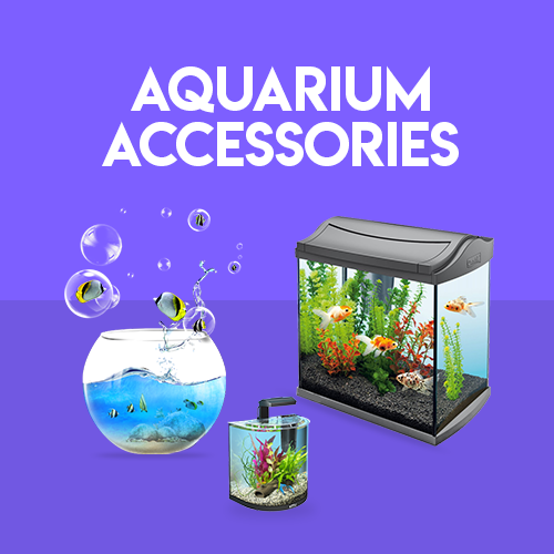 Shop Aquarium & Aquarium Accessories in Bangladesh