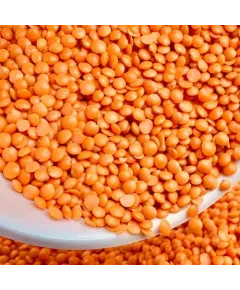 Mushur Dal-25kg Bulk