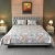 Watercolour Flora Printed Bed sheet – Grey
