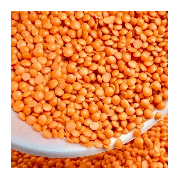 Mushur Dal-25kg Bulk